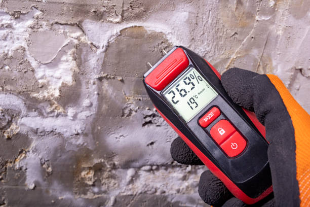 Best Office Mold Removal Services  in Clovis, CA