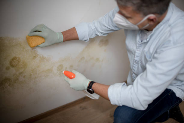 Best Mold Testing  in Clovis, CA