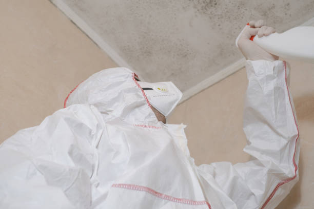 Best Crawl Space Mold Removal  in Clovis, CA