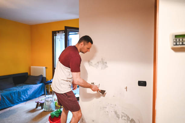 Best Mold Testing  in Clovis, CA