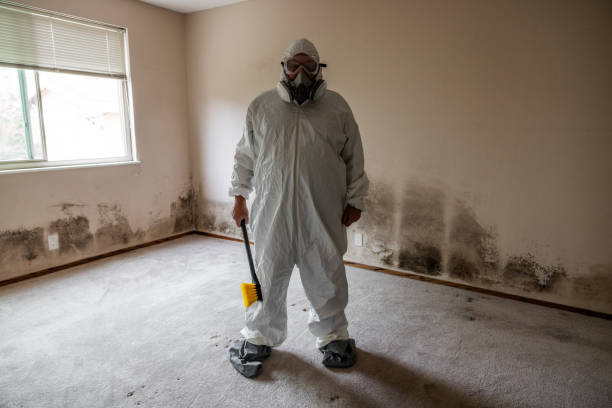 Best Mold Removal and Inspection  in Clovis, CA