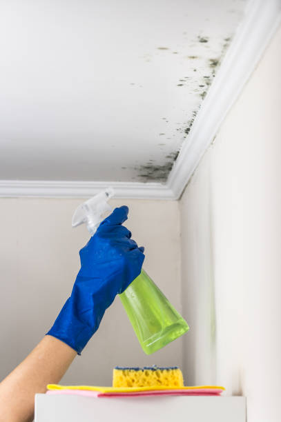 Best Crawl Space Mold Removal  in Clovis, CA